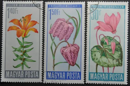 фото, Венгрия Флора Цветы 1966