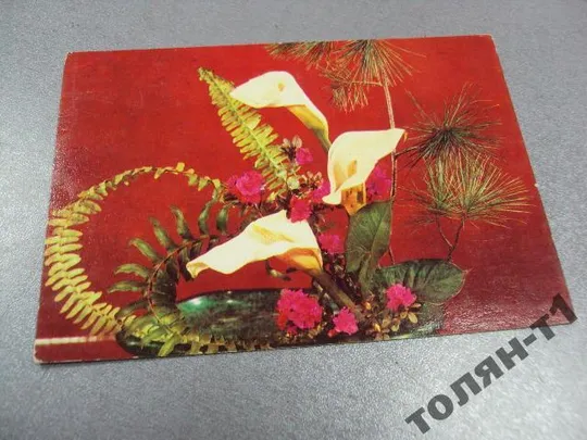 открытка цветы минченко 1975 №15641 Ціна