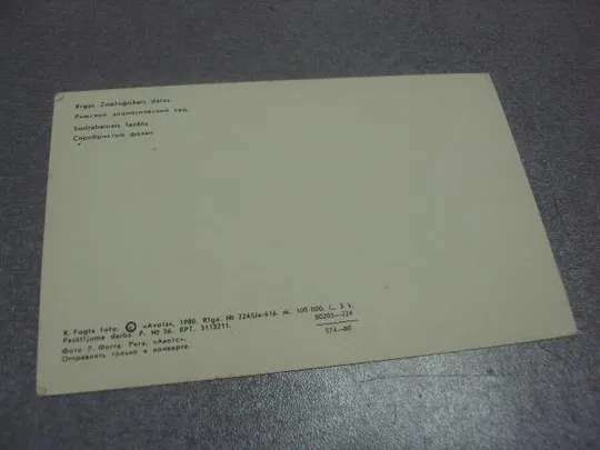 Купити открытка фазан 1980 фогта рига №342