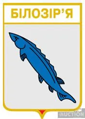 фото, значок геральдика  Білозір'я  /Черкаська область/ 1 вид .