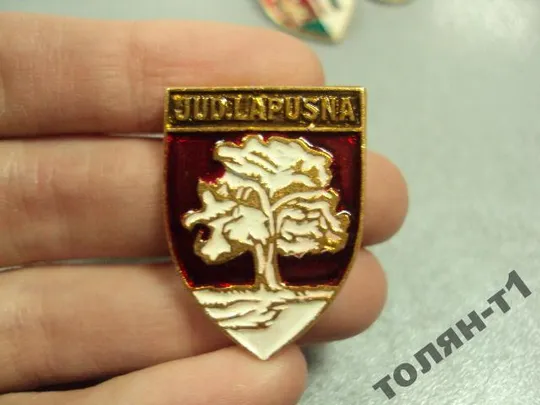 знак герб молдавия каlarasi-тirg сetatea-аlbа Jud. Lapusn лот 3 шт №11125 З аукціону