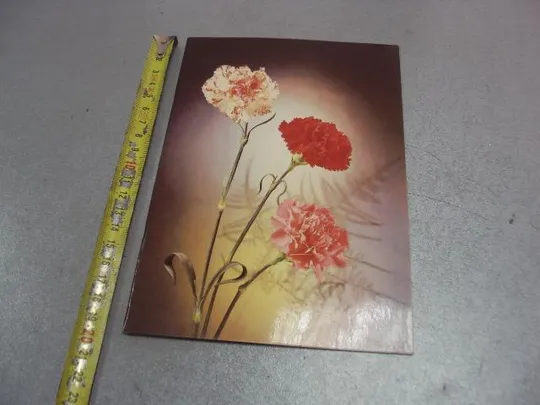 открытка с днем рождения киндрова 1982 двойная большая №4420 Недорого