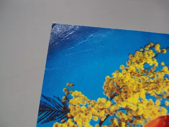 Открытка 8 марта цветы тюльпаны и мимозы авторы В. Лисецкий и К. Шамшин 1973 год №17881 З аукціону