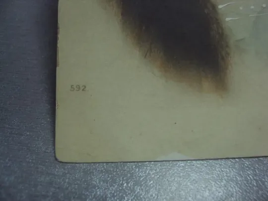 Купити открытка девушка в норковом манто №1493