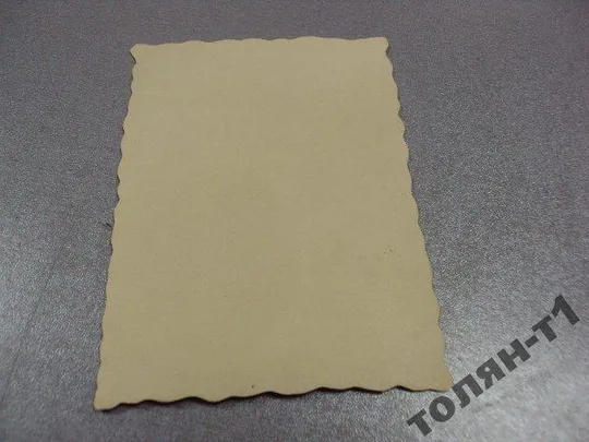 фотография ссср девушка рамка цветы винтаж №7610 З аукціону