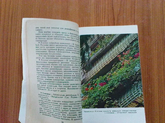 Сироцинская Т.К.Озеленение балконов. Інтернет-аукціон