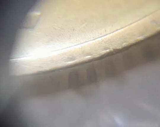 (7342) 50 копійок 1992 1АВс сліди гурта на канті аверса + викрошка в році карбування (50 копеек 1992 1АВс брак) Де купити