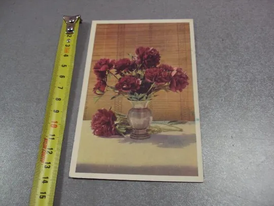 открытка пионы 1965 шагина №10959 Ціна