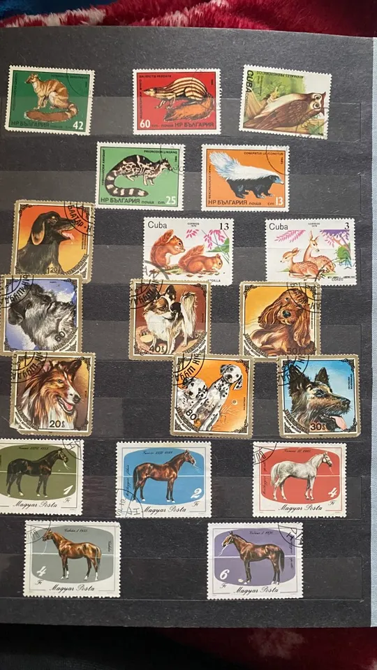 Альбом з марками Інструкція