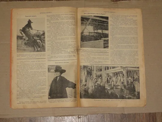 «Всемирная панорама.» журнал. 1913р. № 44 З аукціону