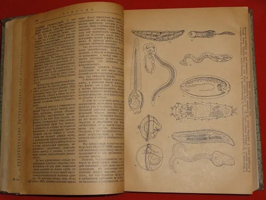 Природа. Піврічна підшивка. 1936р. Де купити