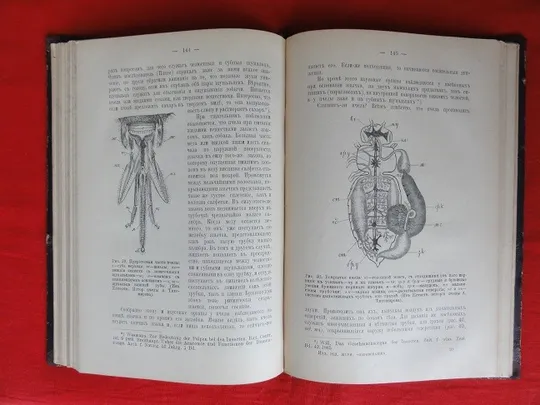 Популярні біологічні нариси. В. Шимкевич. 1898р. в Україні