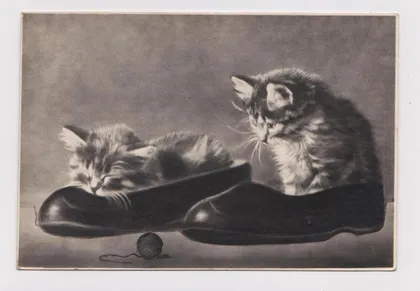 фото, КОТЯТА и КАЛОШИ - КОТ = ПОЧТОВАЯ КАРТОЧКА - 1956 г. = п/п = тираж 20 тыс. #