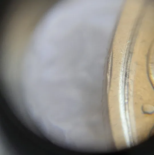 (7628) 25 копійок 1994 1БВм цікавий брак на канті реверса (міні-недовикус) (25 копеек 1994 брак) Де купити