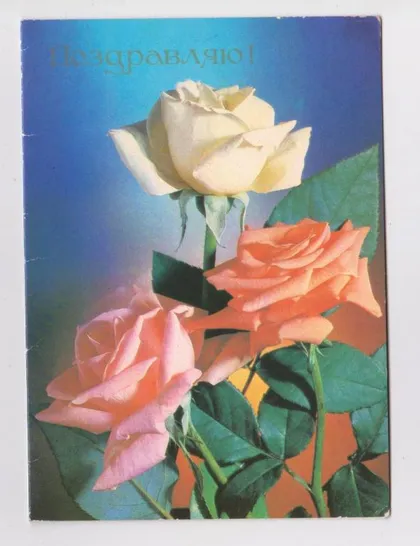 фото, ПОЗДРАВЛЯЮ - РОЗЫ = из сувенирного набора = 1991 г. = ГУБИН = двойная чистая #