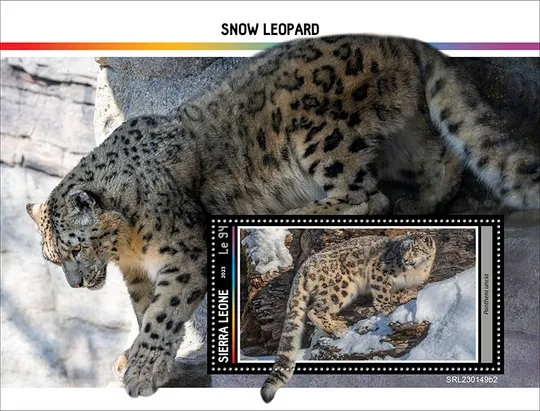Купити Сьерра Леоне - Снежный Барс -2023.Чистый полный красивый комплект.MNH.