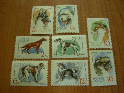 фото, 1965.ссср