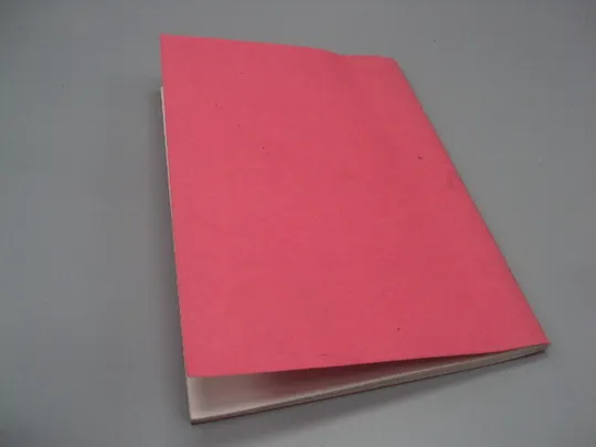 Книга каталог Система пробирного клеймения серебра в отдельных странах мира 20,5х14,5 см №15469 в Україні