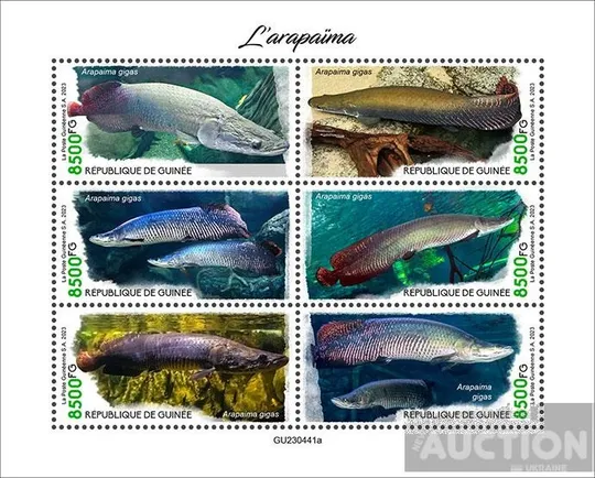 Гвинея-Рыбы-Арапайя-2023.Чистый полный красивый комплект- М/Лист + Блок. MNH. Ціна