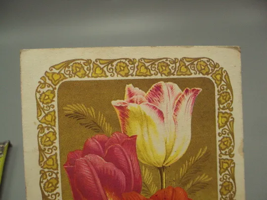 Купити Открытка С праздником 8 марта цветы тюльпаны художник Н. Колесников 1976 год №17917