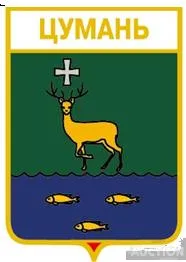 фото, значок геральдика  Цумань  / Волинська область /.