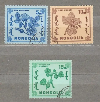 фото, ЦВЕТЫ - ФЛОРА = 1968 г. = МОНГОЛИЯ = гаш. #