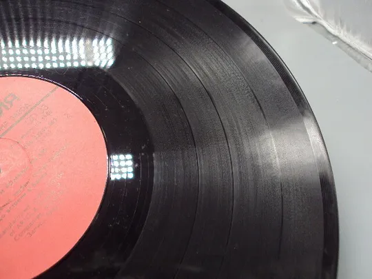 Пластинка мелодия Аль Бано и Ромина Пауэр Al Bano and Romina Power 1982 год 30 см №15417МЯ Продаж