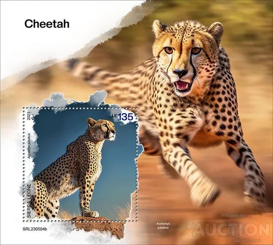 Купити Сьерра Леоне-Гепарды -2023.Чистый полный красивый комплект.MNH.
