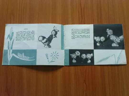 Купити Паславський А.Братиків подарунок.