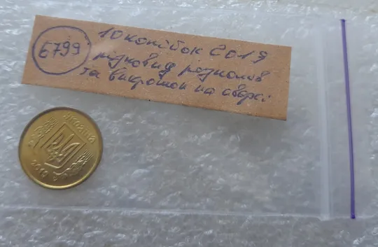 (6799) 10 копійок 2019 різновид викрошок і розколів на аверсі (10 копеек 2019 брак) Характеристики