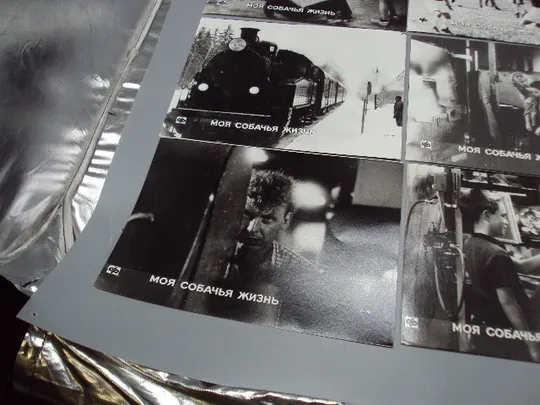 Кадр из фильма Моя собачья жизнь 1, 2, 3, 4, 5, 6 - 92 фотография 23,7х18,3 см лот 6 шт №18352МЯ Продаж