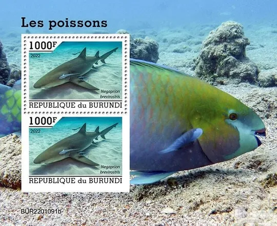 Бурунди-Рыбы-2022.Чистый полный красивый комплект.  MNH. Ціна