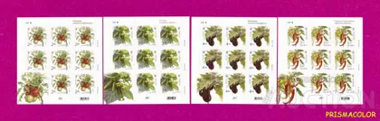 фото, ** УКРАЇНА 2016 аркуші Українські овочі СЕРіЯ