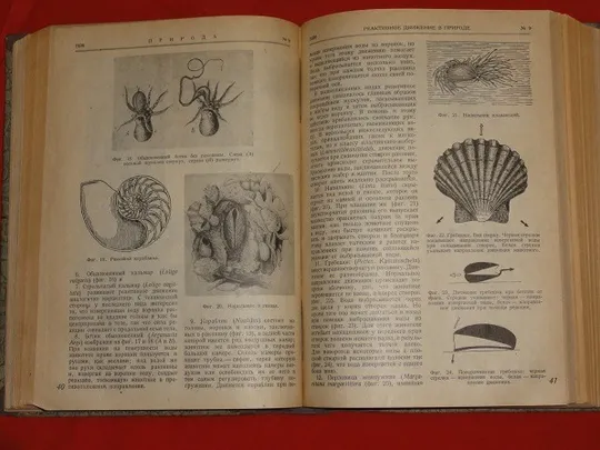 Природа. Піврічна підшивка. 1936р. Інтернет-аукціон