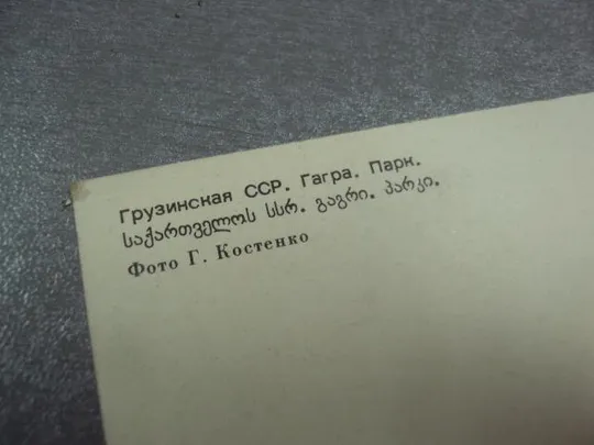 открытка грузинская сср гагра парк 1978 костенко №1054 Недорого